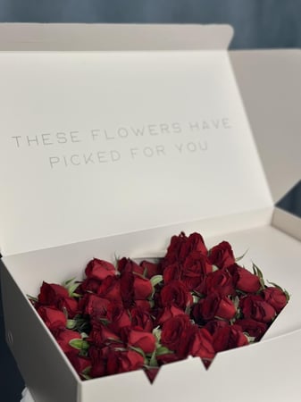 بيبي جوري احمر