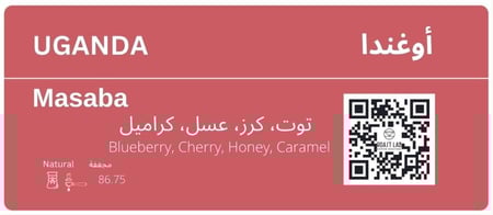 اوغندا ماسابا    (مجففه)