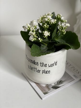 اصيص نباتات