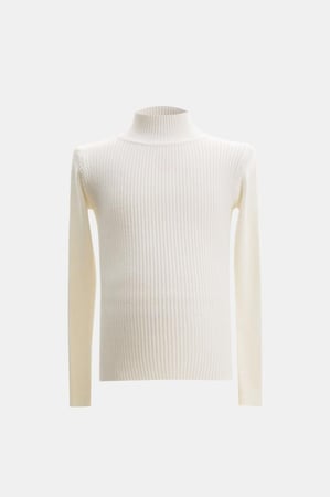 بلوزة أساسية بياقة عالية