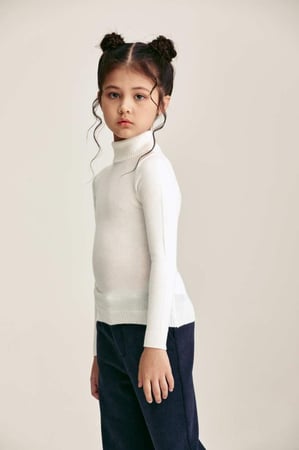 بلوزة أساسية بياقة عالية