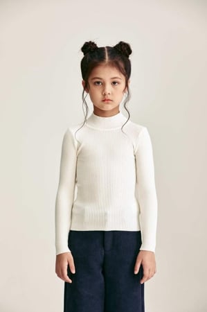 بلوزة أساسية بياقة عالية