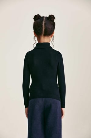 بلوزة أساسية بياقة عالية