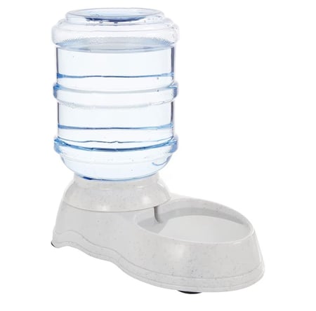 سقاية ماء للقطط