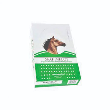 لصقة الظهر  بالحبة- اخضر سمارت ثيرابي - Smart Therapy تعمل على تخفيف الآلم