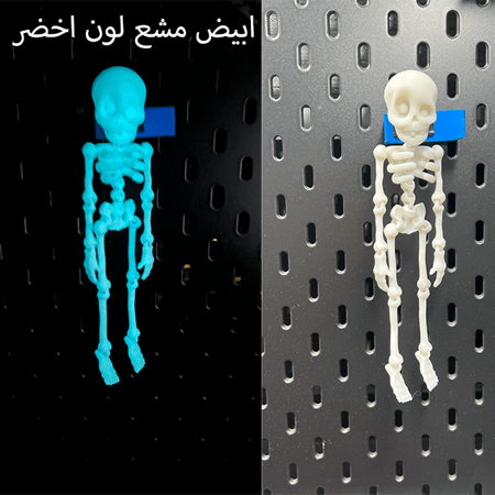 سيكلتون المتحرك