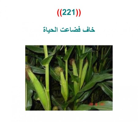 حقيبة القصص التدريبية