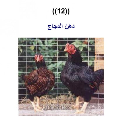 حقيبة القصص التدريبية