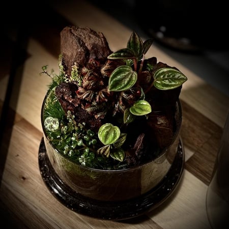 Terrarium 23
