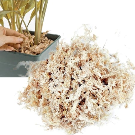 Sphagnum Moss 150g