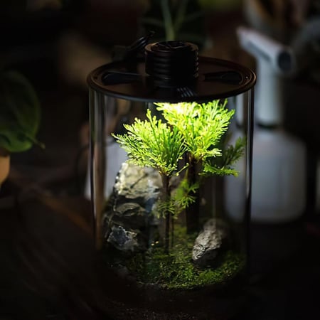 غطاء مع اضاءه خاصه للتيراريوم 20cm