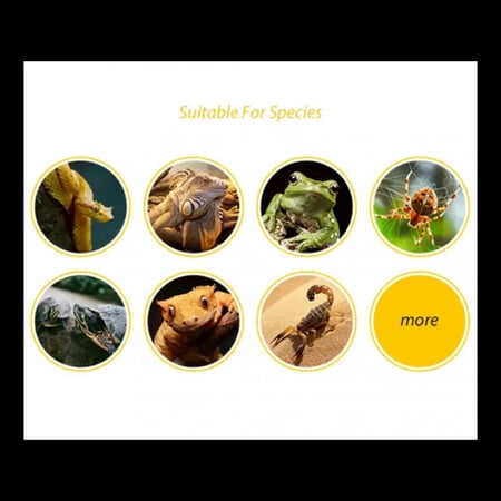 اكسسورات للزواحف مخبأ كانه جذع شجرة