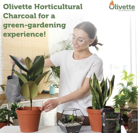 الفحم البستاني المنشط للنباتات من اوليفيت