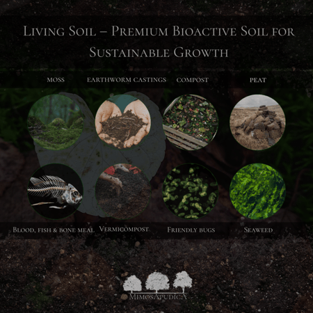 تربة حية – المستوى الأول– تربة بيولوجية نشطة لنمو صحي ومستدام