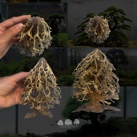 شجرة بونساي جافة مقاس s – تصميم طبيعي لفن الأكوابيوم والتيراريوم