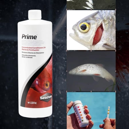 Seachem Prime – محلول معالج مركز للمياه (250 مل)