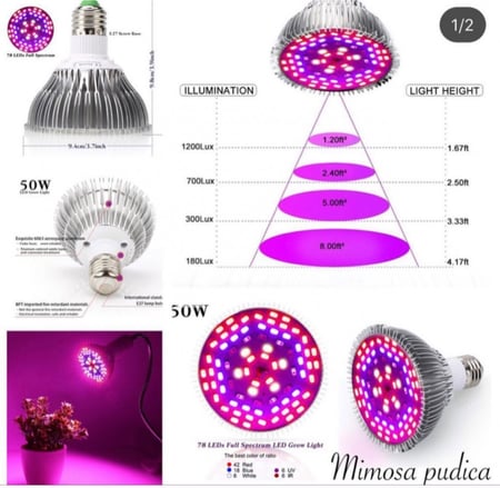 لمبه Led لنمو النبات