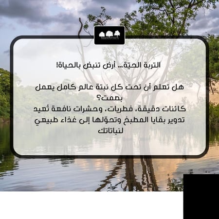 ورشة أساسيات الاستدامة والتربة الحية