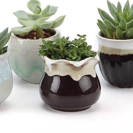 3 مراكن خزفية صغيرة للبونساي والصبارات