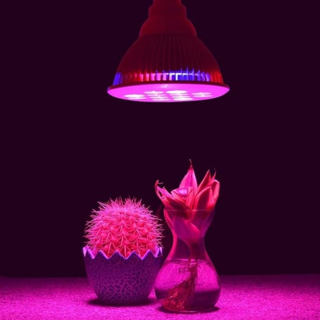 اضاءة LED ازرق احمر ( افضل اضاءه للنباتات )50000ساعه