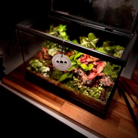 terrarium