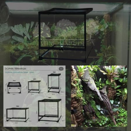 DOPHIN TERRARIUM TANK – TT803