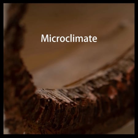 اكسسورات للزواحف مخبأ كانه جذع شجرة