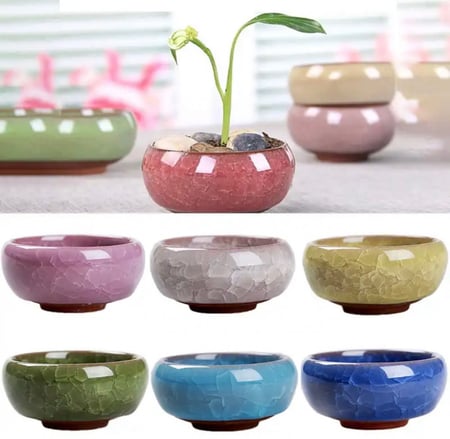 6 مراكن خزفية صغيرة للبونساي والصبارات