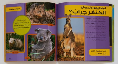 موسوعتي الصغيرة -لماذا 2 ؟