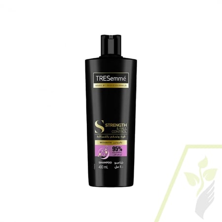 شامبو ترسيمي