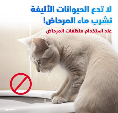 اقراص تنظيف المرحاض دبل قطعتين كوالتي