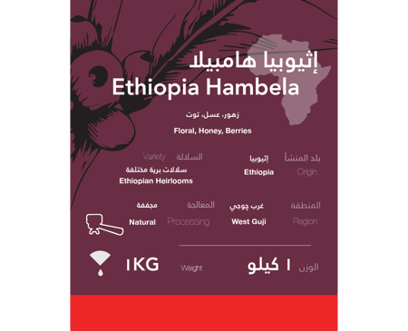 اثيوبيا مجففة