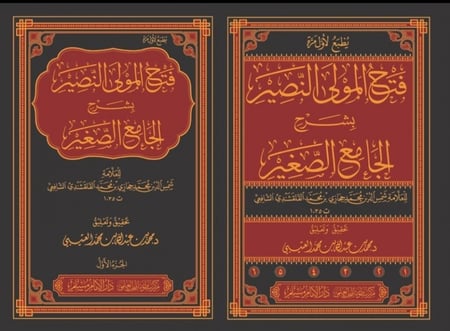 فتح المولى النصير بشرح الجامع الصغير1\6