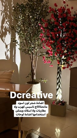 اضاءة للشجر واحواض الزرع بريموت بلوتوث( لون اسود