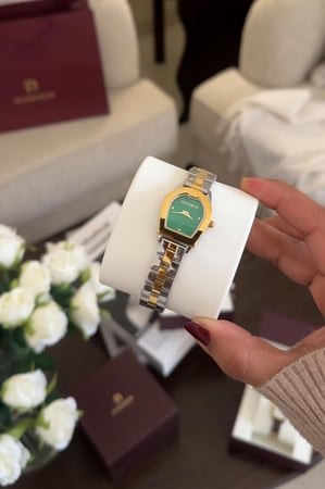 Watch  AIGNER