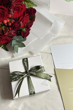 اسورة فان كليف ملون