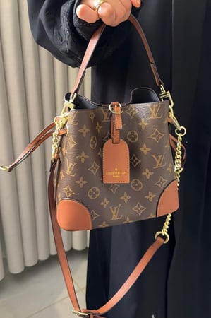 LV new Bag
