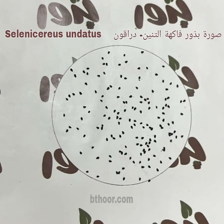 صورة بذور فاكهة التنين