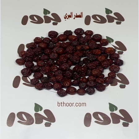 صورة بذور السدر البري