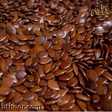 بذور ليوسينا