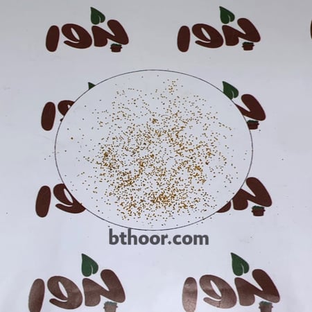 صورة بذور اليهق-متجر بذور الزراعي