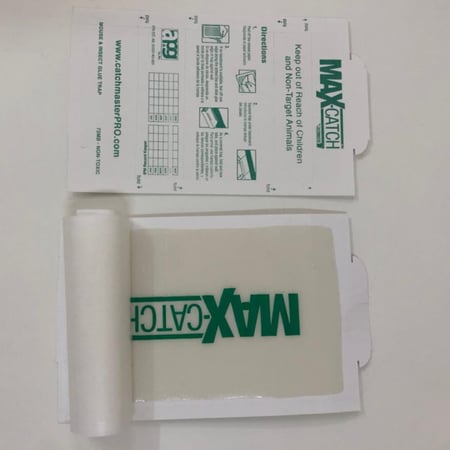 صائد الفئران والحشرات