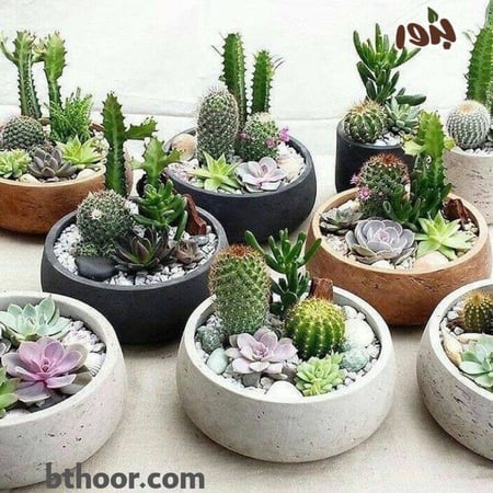 حصى زينة حجري