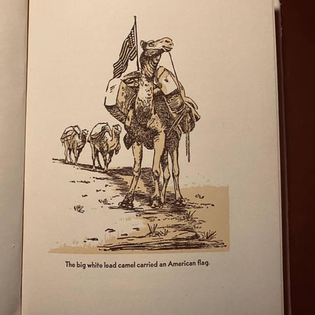 All about dinosaurs (P15)