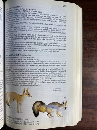 African Mammals (P15)