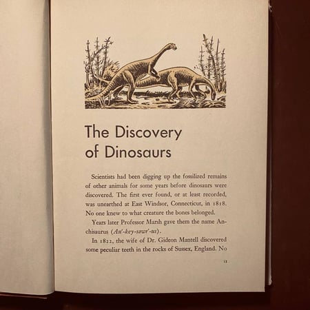 All about dinosaurs (P15)