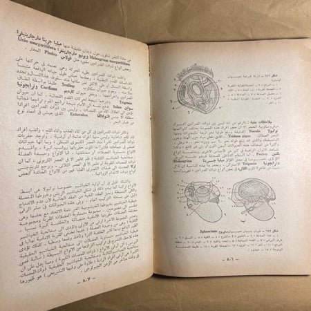 علم الحيوان -باركر وهاسويل-O8