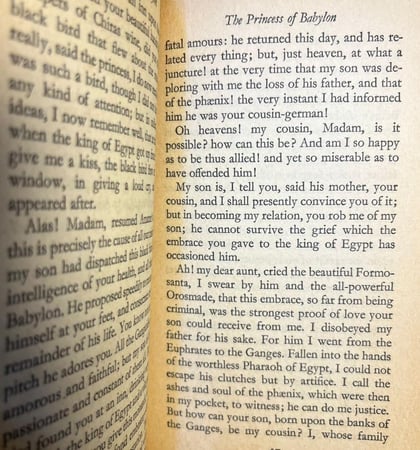 Voltaire The princess of Babylon (P20)