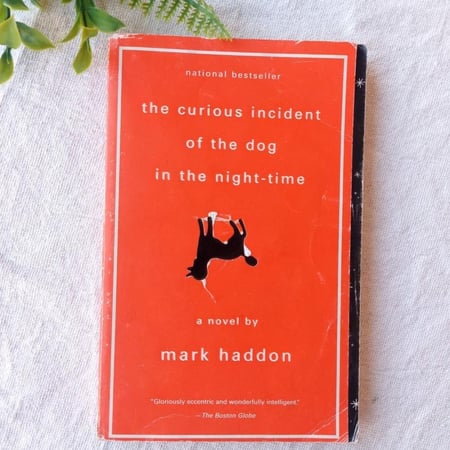The curious incident of the dog in the night time- Mark haddon(E2)