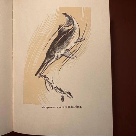 All about dinosaurs (P15)